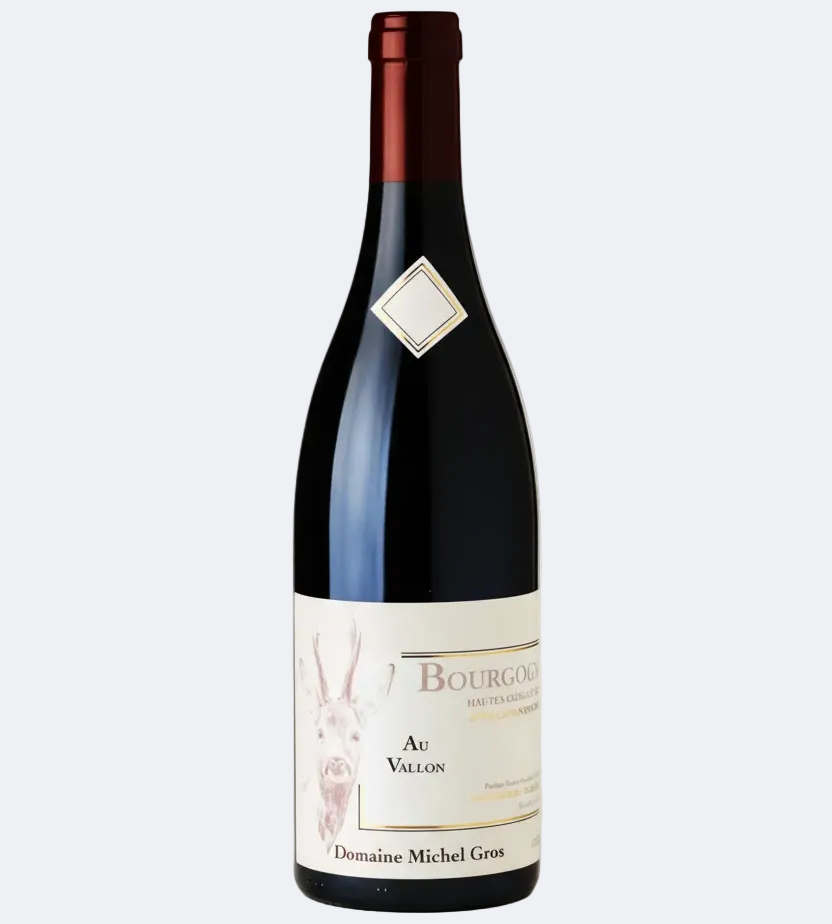 Bourgogne Hautes-Côtes de Nuits Au Vallon 2022 Tinto - Domaine Michel Gros
