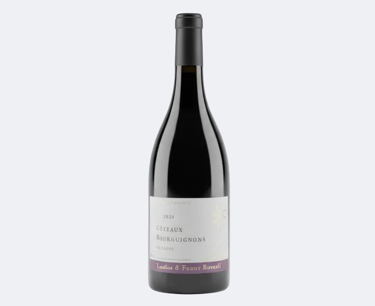 Coteaux Bourguignon En Crèot 2022 Domaine Rocault