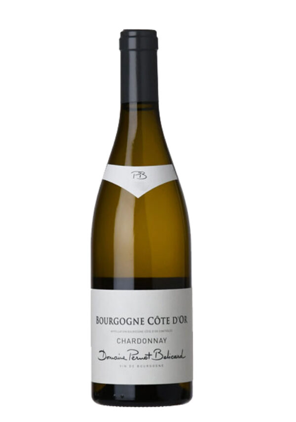 Bourgogne Chardonnay Côte D'or 2021 - Domaine Pernot-Belicard
